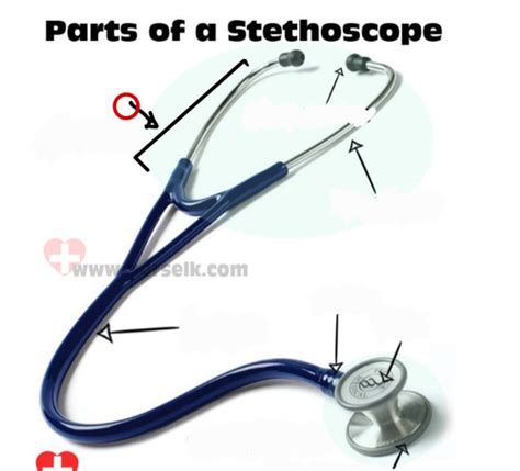 tycos stethoscope ear tips|Quiz 2 Flashcards .